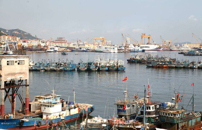 東北亞冷鏈物流大連園區 首個跨省石島大連物流專線正式啟用