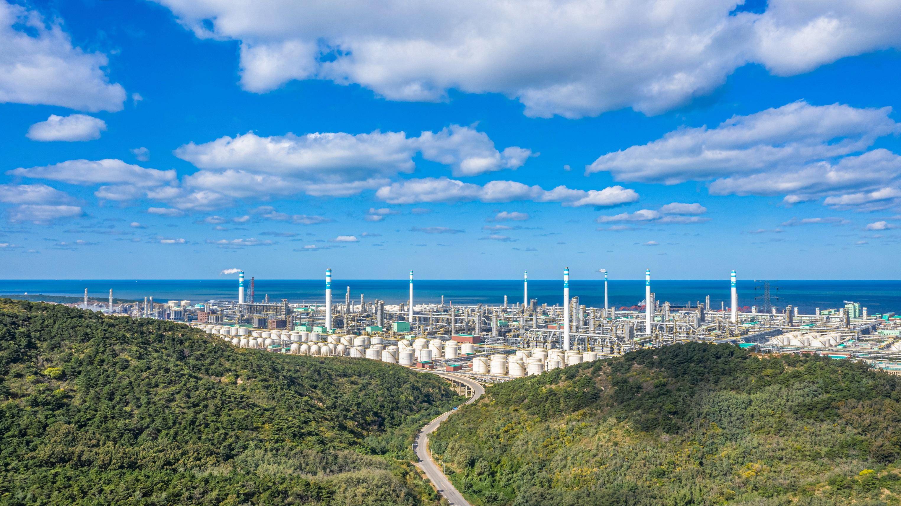 恒力(大連長興島)產業(yè)園十年發(fā)展成就巡禮之二_煉化_行業(yè)_項目