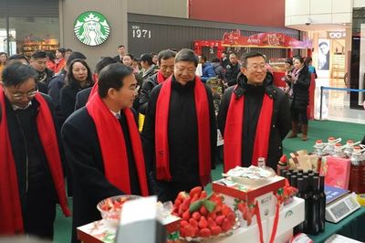 【重點關注】2019大連草莓文化旅游節(jié)暨農業(yè)產品博覽會隆重啟幕