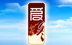 愛冬 愛冬招商代理 愛冬詳細介紹