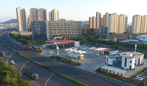 先行對接 雙碳戰略 ,先試推動綠色發展 大連自貿片區攜手中石化率先布局氫能產業