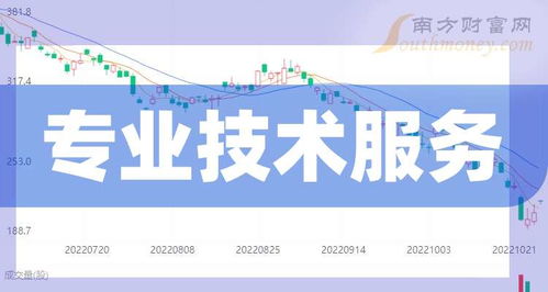 2025展望 解析“專(zhuān)業(yè)技術(shù)服務(wù)概念”及其與技術(shù)開(kāi)發(fā)的核心關(guān)聯(lián)